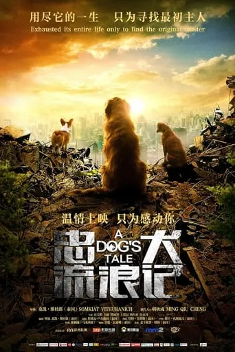 A Dog's Tale movie poster - Entertainment content