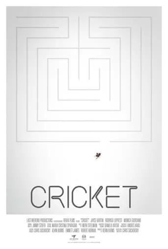 Cricket movie poster - Entertainment content
