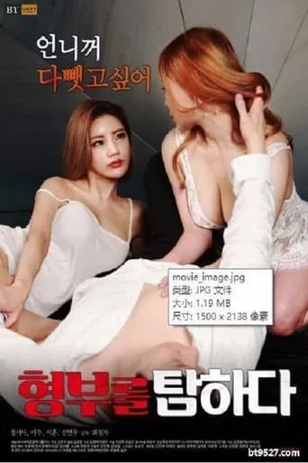 Covet Your Brother-in-law movie poster - Rated 4.5/10