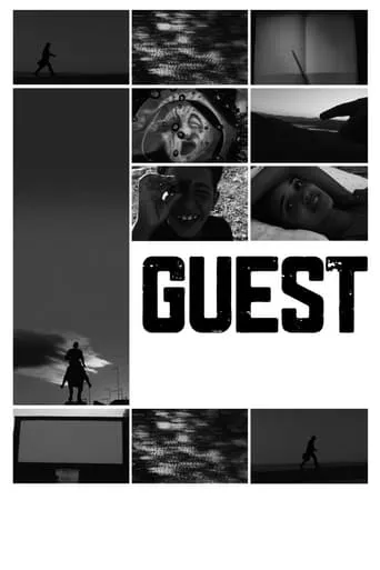 Guest movie poster - Rated 6/10
