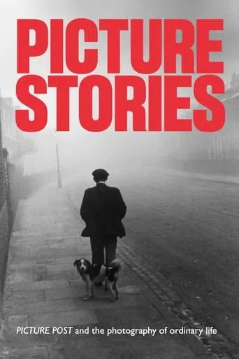 Picture Stories movie poster - Entertainment content