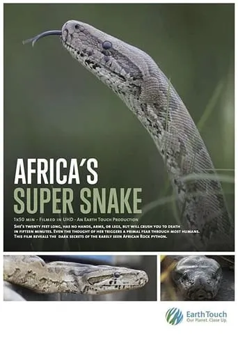 Africa's Super Snake movie poster - Rated 8/10