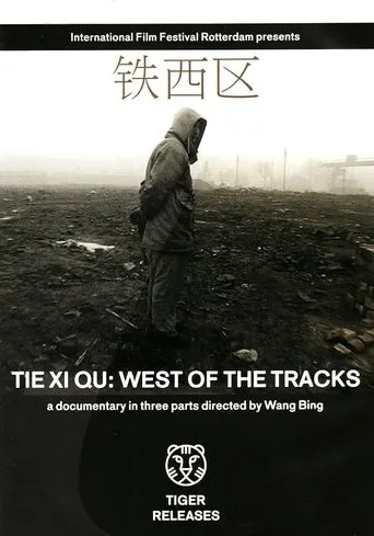 Tie Xi Qu: West of the Tracks movie poster - Rated 7.7/10