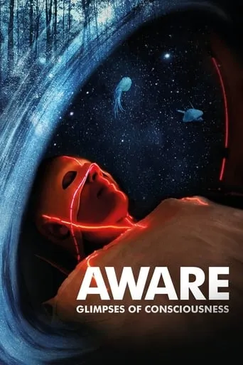 Aware: Glimpses of Consciousness movie poster - Rated 5/10