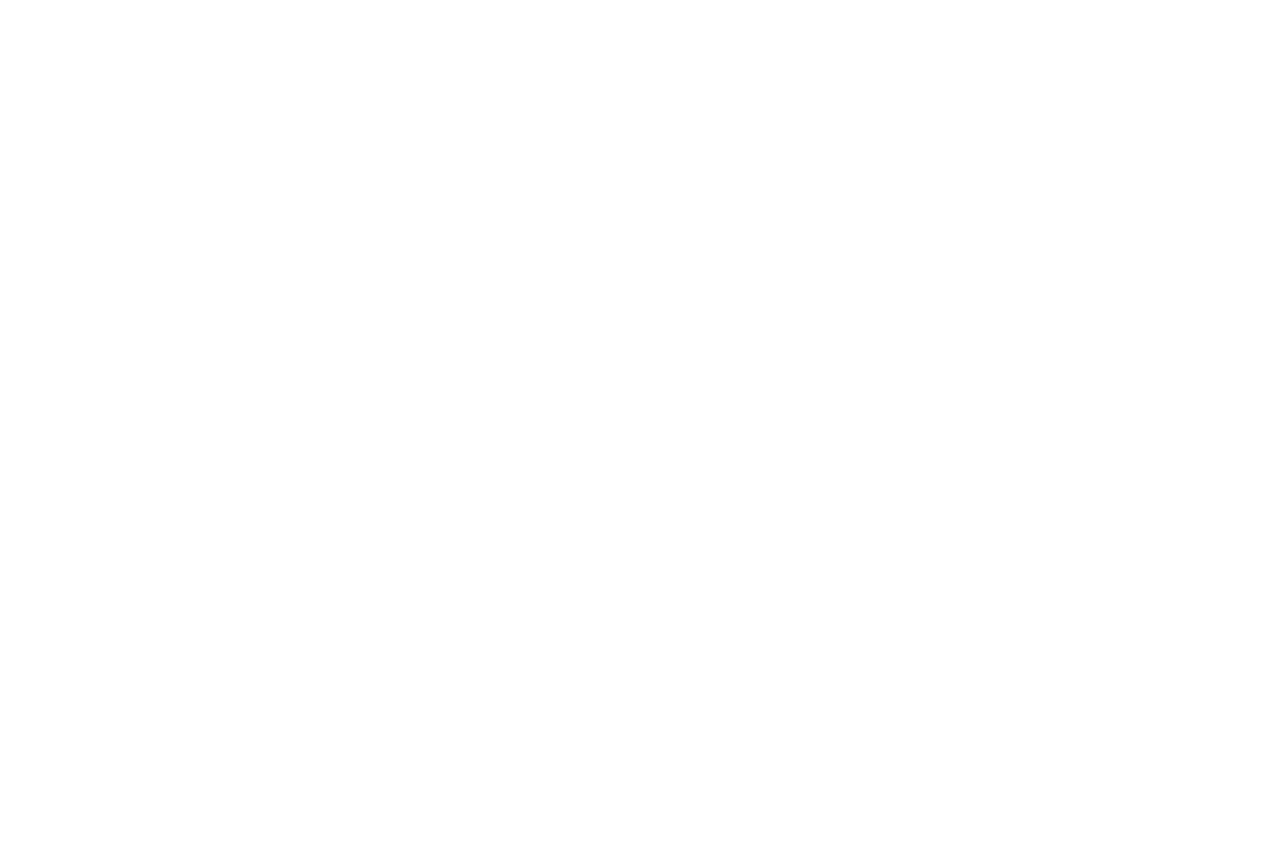 Raging Bull Shark