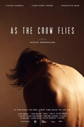 As the Crow Flies movie poster - Rated 1/10