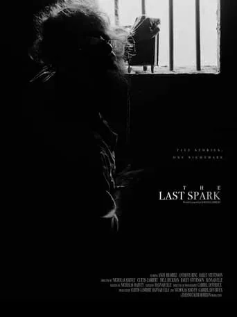 The Last Spark movie poster - Entertainment content