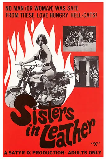 Sisters in Leather movie poster - Rated 4.4/10
