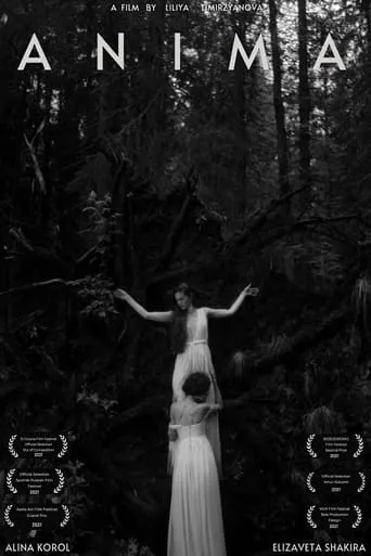 Anima movie poster - Entertainment content