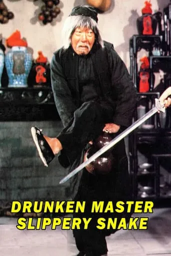 Mad Mad Kung Fu movie poster - Rated 6.5/10