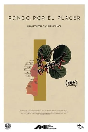 Rondó por el placer movie poster - Entertainment content