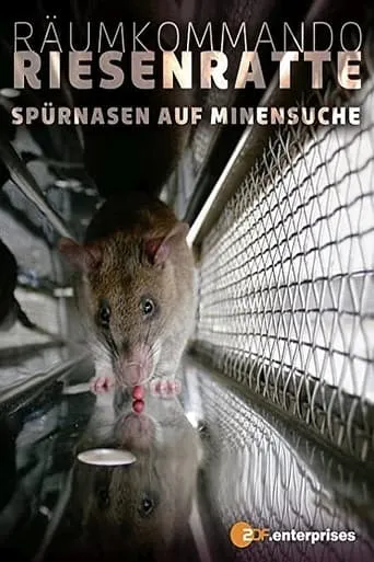 Räumkommando Riesenratte - Spürnasen auf Minensuche movie poster - Rated 6/10