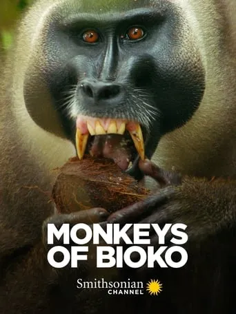 Monkeys of Bioko movie poster - Rated 8/10