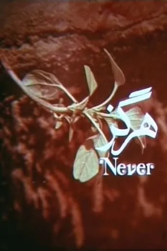 Never movie poster - Entertainment content