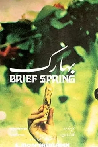 Brief Spring movie poster - Entertainment content