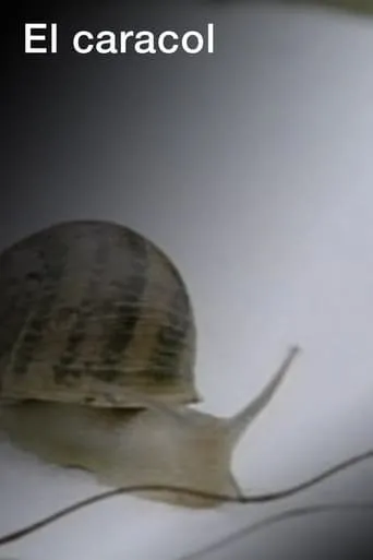 El caracol movie poster - Entertainment content