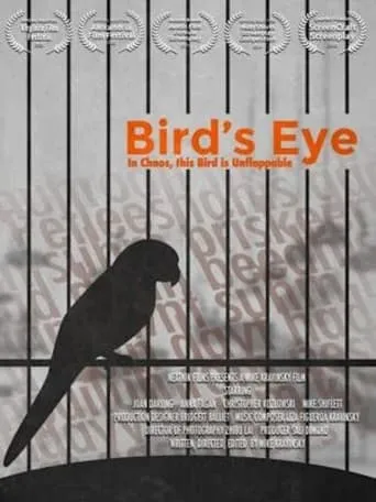Bird's Eye movie poster - Entertainment content