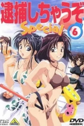 You're Under Arrest! Diverting Traffic at the Beach movie poster - Rated 8/10