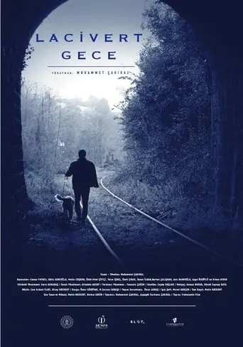 Dark Blue Night movie poster - Entertainment content