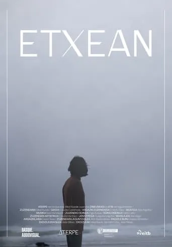 Home movie poster - Entertainment content