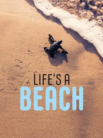 Life’s a Beach movie poster - Entertainment content