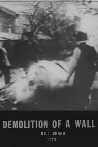Demolition of a Wall movie poster - Entertainment content
