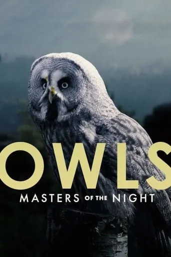 Owls: Masters of the Night movie poster - Rated 6/10