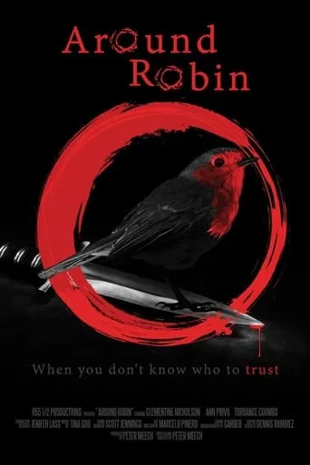 Around Robin movie poster - Rated 4.5/10