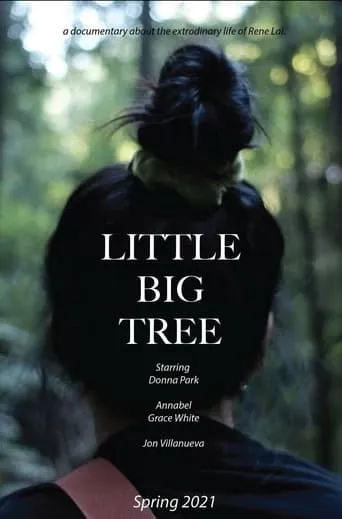 Little Big Tree movie poster - Entertainment content