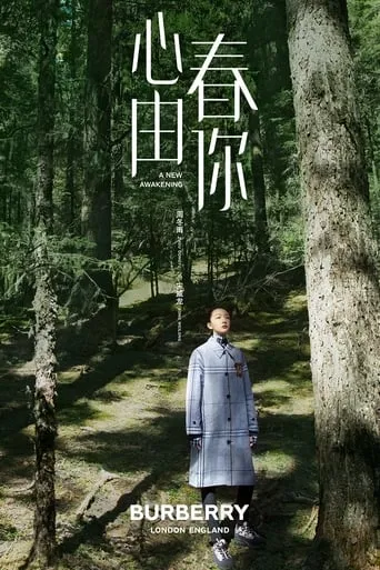 A New Awakening movie poster - Entertainment content