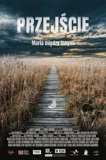 The Passage movie poster - Rated 2/10
