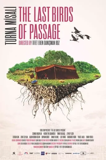 The Last Birds of Passage movie poster - Rated 8/10