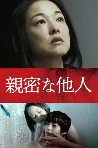 Intimate Stranger movie poster - Entertainment content