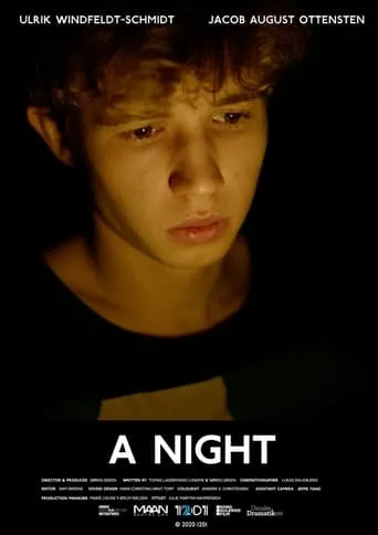 A Night movie poster - Entertainment content