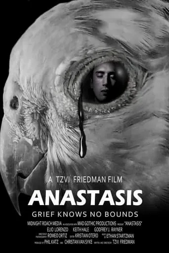 Anastasis movie poster - Entertainment content