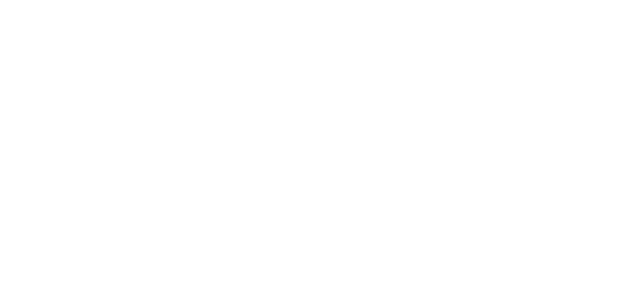 Destination Porto: The Unimaginable Journey