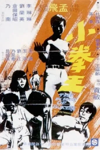 The King of Boxers movie poster - Rated 5.8/10