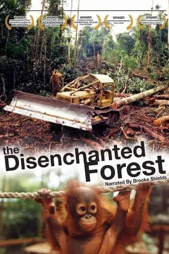 Disenchanted Forest movie poster - Entertainment content