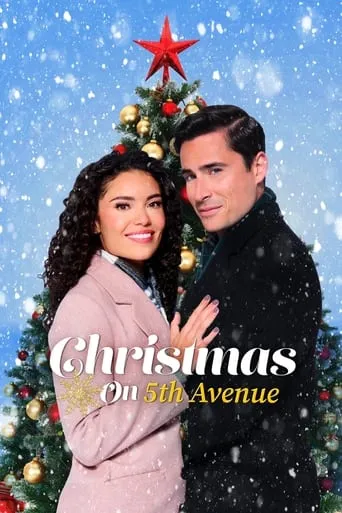 Christmas on 5th Avenue movie poster - Rated 6.5/10
