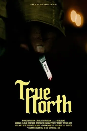 True North movie poster - Rated 6/10