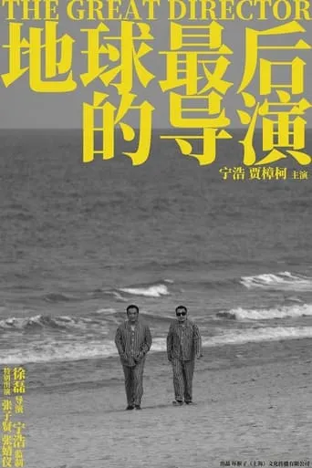 The Great Director movie poster - Rated 6/10