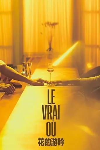 Le Vrai Où movie poster - Rated 4.8/10