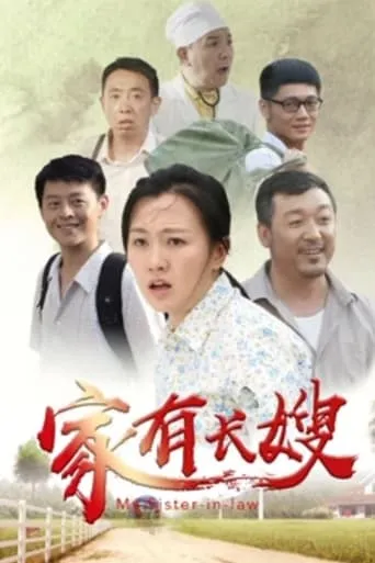 家有长嫂 movie poster - Entertainment content