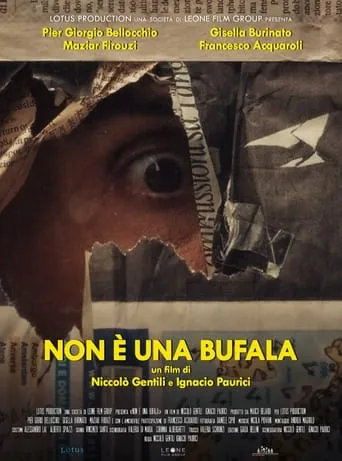 Non è una bufala movie poster - Entertainment content