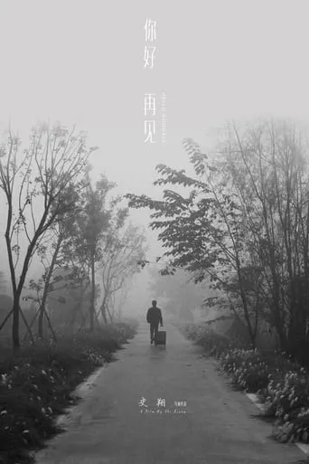 你好！再见 movie poster - Rated 10/10