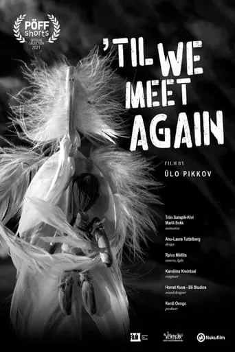 Till We Meet Again movie poster - Entertainment content