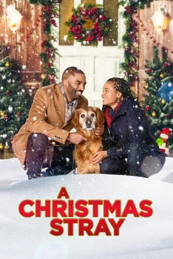 A Christmas Stray movie poster - Rated 5.5/10