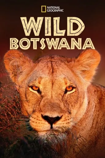 Wild Botswana movie poster - Entertainment content