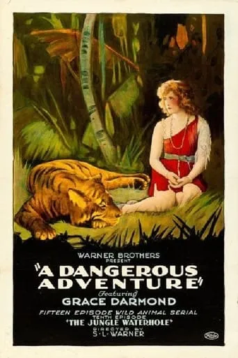 A Dangerous Adventure movie poster - Entertainment content