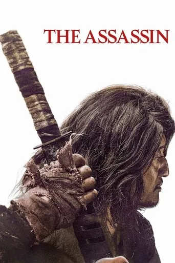 The Assassin movie poster - Rated 5.6/10
